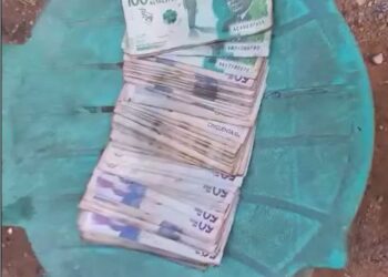 У Колумбії сталося “голлівудське” пограбування – гроші летіли на всі боки (ВІДЕО)