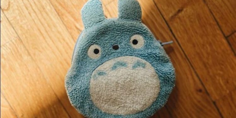 Українку обікрали в Бельгії. А потім злодій приніс гаманець в поліцію, доклав грошей і плакав…