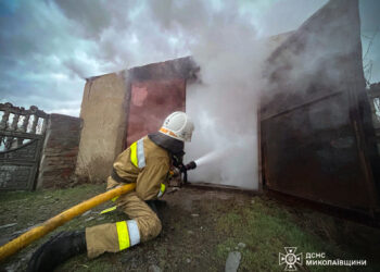 Минулої доби на Миколаївщині було вдвічі більше пожеж у житловому секторі, ніж в екосистемах (ФОТО)