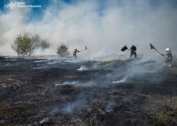 Пожежі на Миколаївщині за добу – знов найбільше горіло на відкритих територіях (ФОТО)
