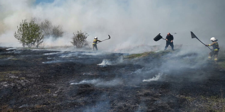 Пожежі на Миколаївщині за добу – знов найбільше горіло на відкритих територіях (ФОТО)