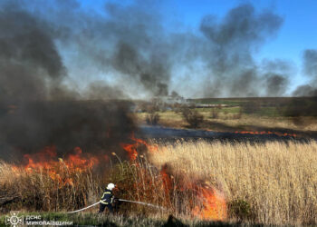 На Миколаївщині за добу ліквідували 11 пожеж, одна з них була через російські обстріли (ФОТО)
