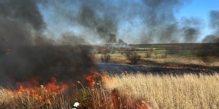 На Миколаївщині за добу ліквідували 11 пожеж, одна з них була через російські обстріли (ФОТО)