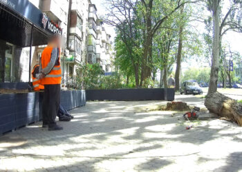 У Миколаєві в трьох випадках власники закладів торгівлі самовільно знесли дерева та кущі – ДЕІ (ФОТО, АДРЕСИ)