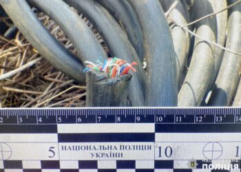 У Миколаєві поліцейські затримали підозрюваного у крадіжці кабелю (ФОТО)