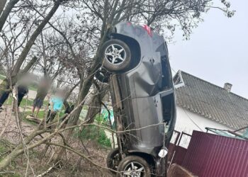 «П’яна» ДТП на Миколаївщині – автівка фактично на дереві, двоє пасажирів постраждали (ФОТО)