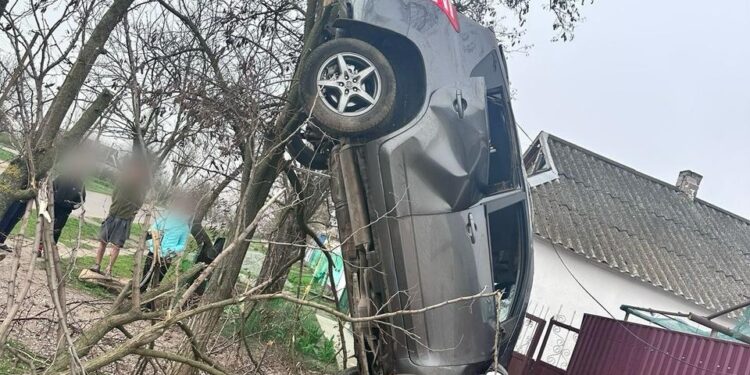 «П’яна» ДТП на Миколаївщині – автівка фактично на дереві, двоє пасажирів постраждали (ФОТО)