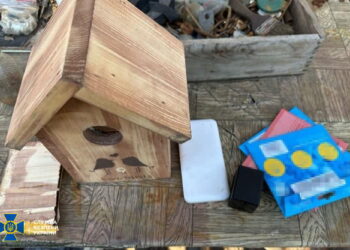 СБУ затримала агентку рф, яка шпигувала за ешелонами ЗСУ через «відеопастку» у шпаківні (ФОТО)