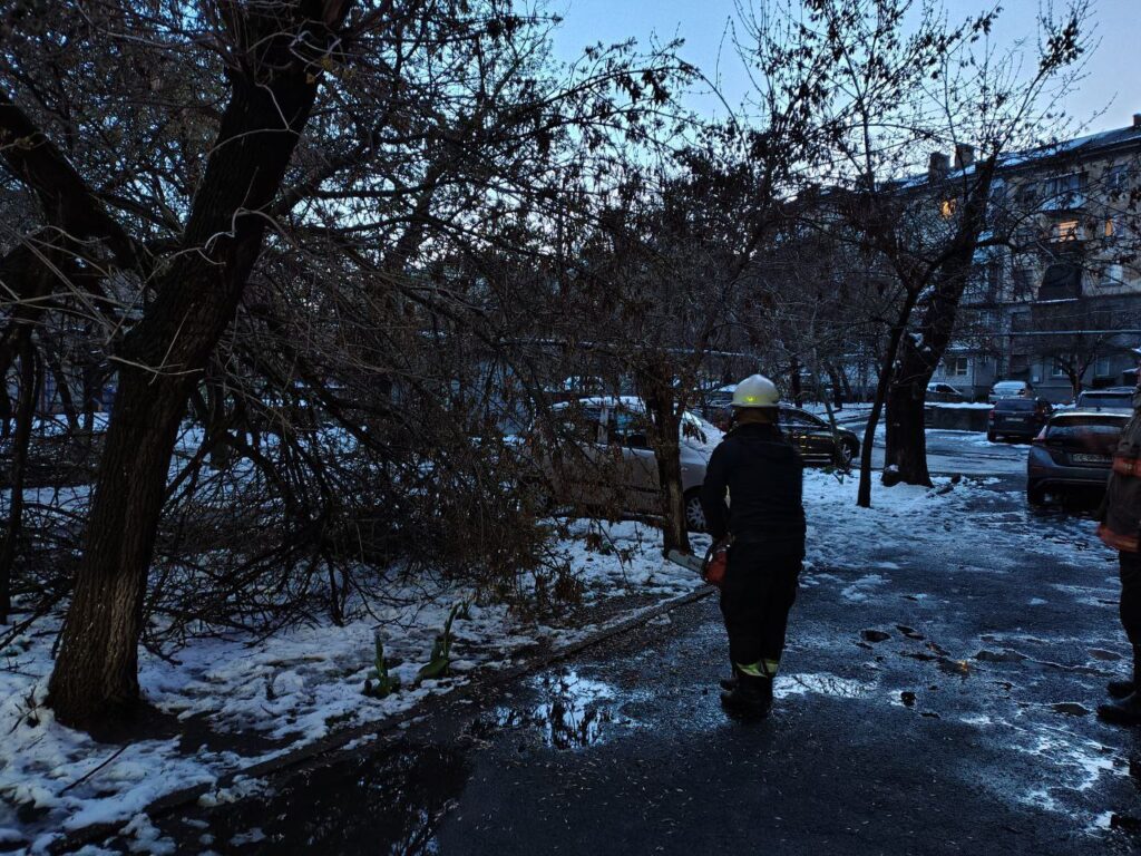 У Миколаєві негода повалила понад 40 дерев (ФОТО) 5 У Миколаєві негода повалила понад 40 дерев (ФОТО) 4