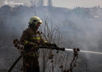 Протягом доби на Миколаївщині ліквідували п’ять пожеж – переважно горіло в екосистемах (ФОТО)