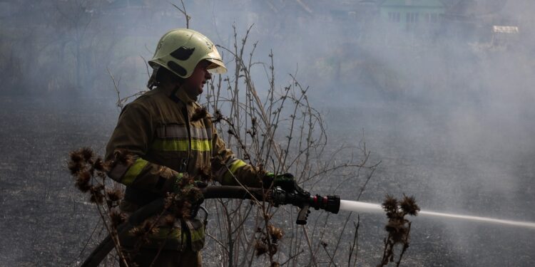 Протягом доби на Миколаївщині ліквідували п’ять пожеж – переважно горіло в екосистемах (ФОТО)