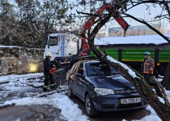 У Миколаєві негода повалила понад 40 дерев (ФОТО)