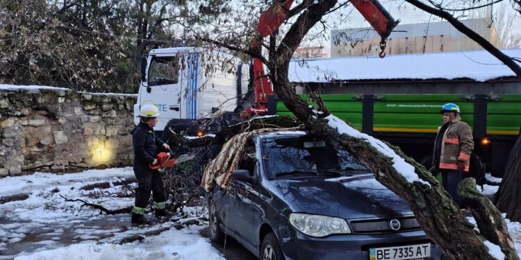 У Миколаєві негода повалила понад 40 дерев (ФОТО)