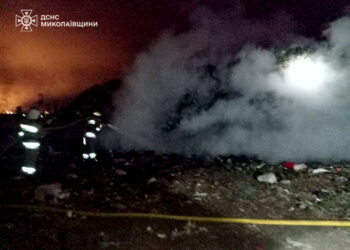 Їжа на плиті та полігон ТБО у Миколаєві, госпспоруда у с.Агрономія – які пожежі гасили в регіоні (ФОТО)