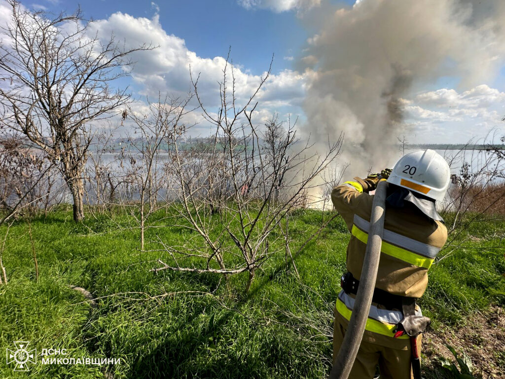 І в житлі, і в екосистемах – які пожежі вчора ліквідовували на Миколаївщині (ФОТО) 9 І в житлі, і в екосистемах – які пожежі вчора ліквідовували на Миколаївщині (ФОТО) 8