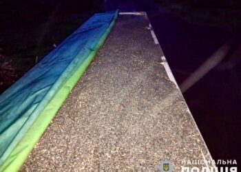 На Миколаївщині працівники викрали у роботодавця 30 тонн насіння соняшника (ФОТО)