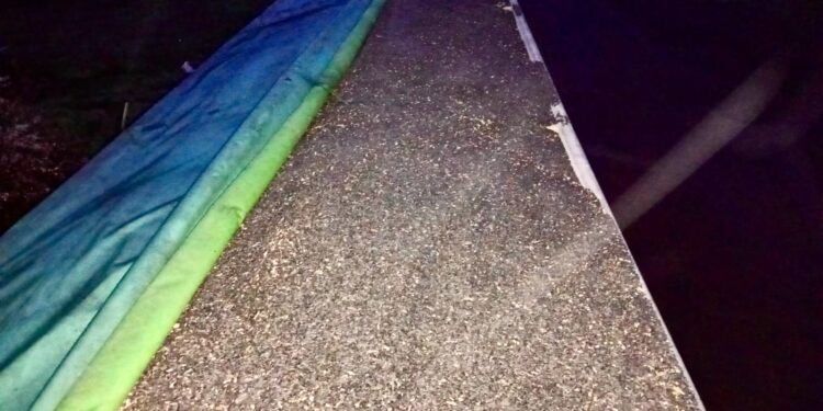 На Миколаївщині працівники викрали у роботодавця 30 тонн насіння соняшника (ФОТО)