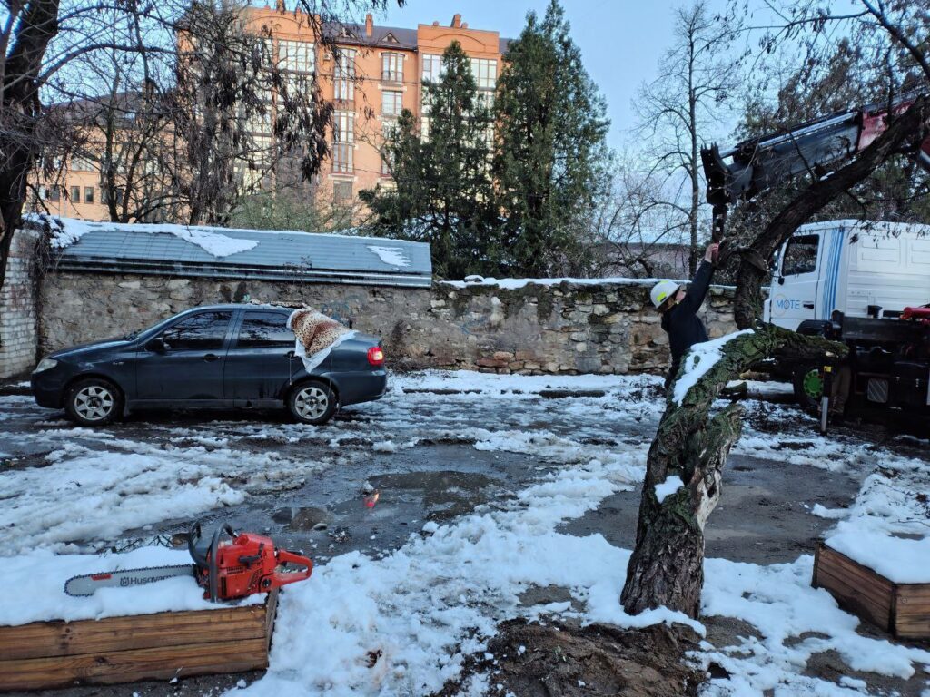 У Миколаєві негода повалила понад 40 дерев (ФОТО) 7 У Миколаєві негода повалила понад 40 дерев (ФОТО) 6