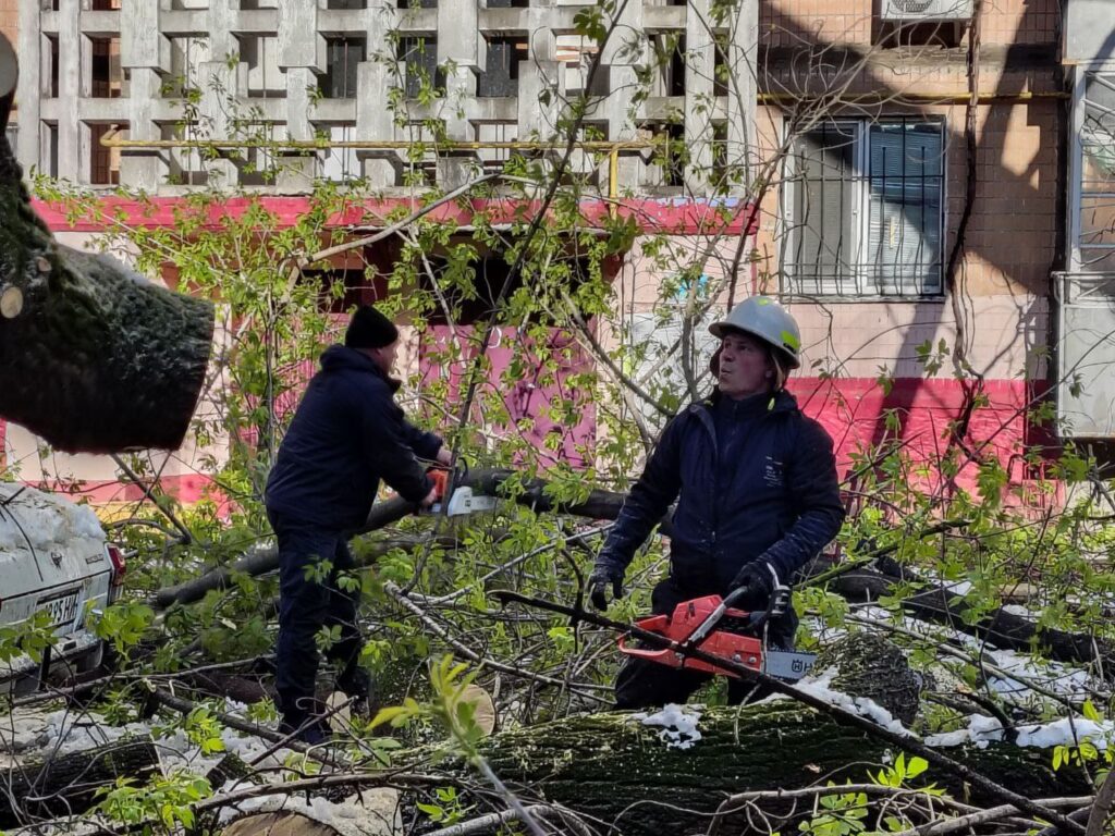 У Миколаєві негода повалила понад 40 дерев (ФОТО) 9 У Миколаєві негода повалила понад 40 дерев (ФОТО) 8