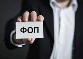По кількості ФОП Миколаївщина посідає 16-те місце в Україні