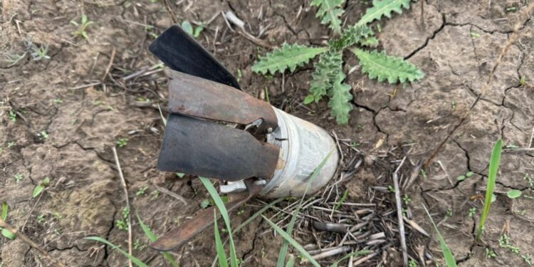 У миколаївському парку «Дубки» демінери вилучили 44 касетних боєприпаси