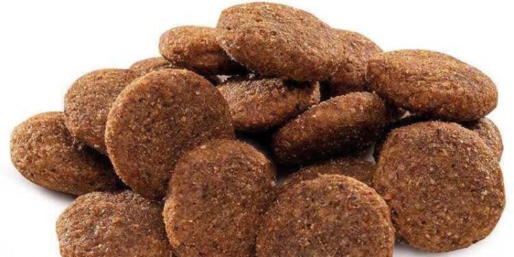 Перехід на новий корм: як це зробити без стресу для собаки