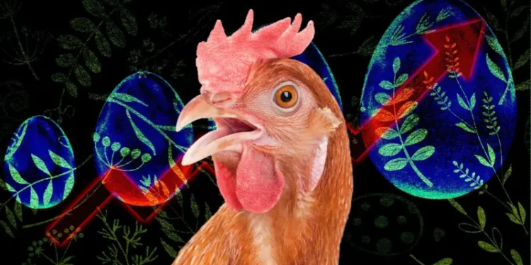 Курям не до сміху – яйця стали політичною темою в США, але чому вони дорожчають в Україні?