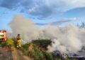 На Миколаївщині гасили пожежу у Баловно-Матвіївському лісовому урочищі – горіло 9000 кв. м