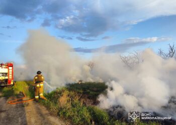 На Миколаївщині гасили пожежу у Баловно-Матвіївському лісовому урочищі – горіло 9000 кв. м