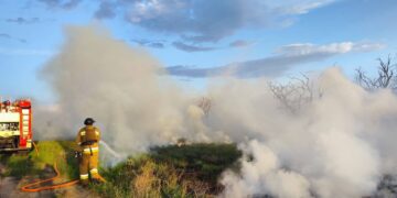 На Миколаївщині гасили пожежу у Баловно-Матвіївському лісовому урочищі – горіло 9000 кв. м