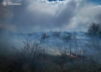На Миколаївщині горіли будинок, гараж і 5 га відкритої території