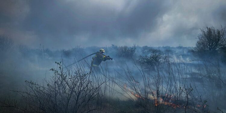 На Миколаївщині горіли будинок, гараж і 5 га відкритої території