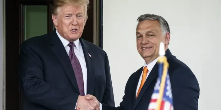 Тепер симпатії Трампа до лідерів визначають, є корупція в країні чи ні. Як це діє на прикладі Угорщини