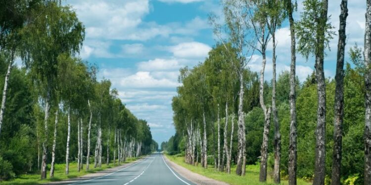 Весна з характером: теплий старт у суботу та прохолодна неділя із заморозками