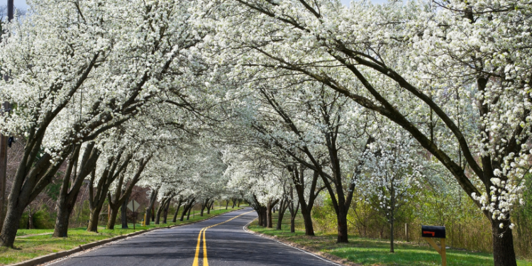Прогноз на вихідні: тепло зникає, на зміну приходять дощі