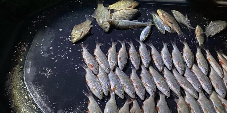 Поблизу Миколаєва на Бузькому лимані затримали браконьєра – збитки майже 110 тис.грн. (ФОТО)