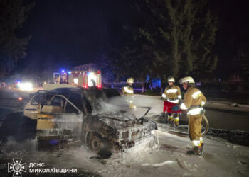 За добу на Миколаївщині ліквідували дев’ять пожеж – житло, автівка, екосистеми