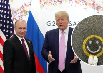 “Клади”, “Ні, ти” – кращі меми про вчорашню розмову Трампа з Путіним (ФОТО, ВІДЕО)