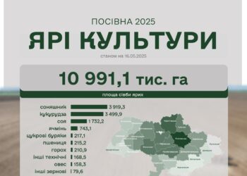 Аграрії засіяли ярими культурами вже 87% прогнозованих площ