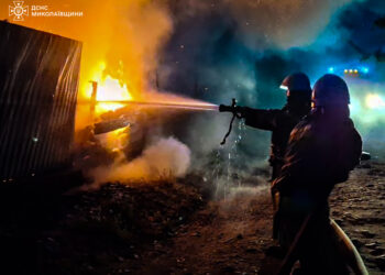 Склад, житло, екосистеми – які пожежі протягом доби гасили на Миколаївщині (ФОТО)