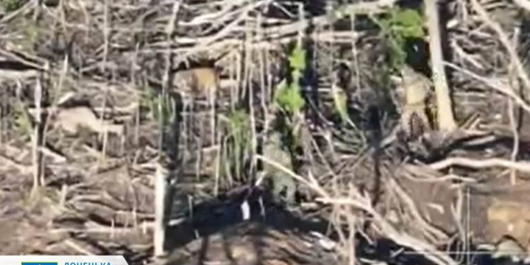 Російські окупанти розстріляли ще двох українських військовополонених на Покровському напрямку