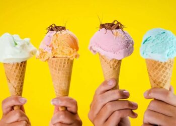 В Угорщині почали продавати морозиво з цвіркунів