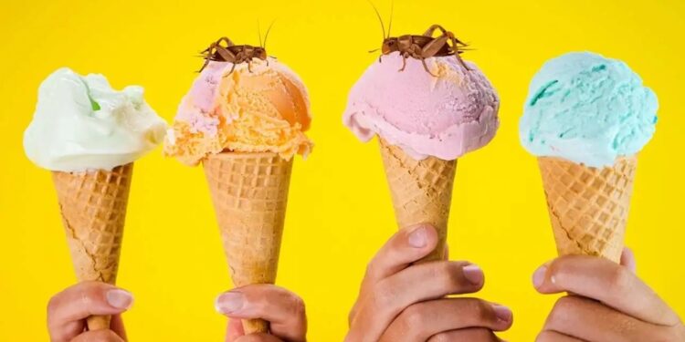 В Угорщині почали продавати морозиво з цвіркунів