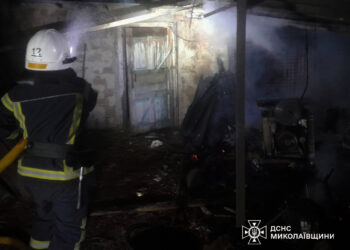 Протягом доби на Миколаївщині виникло 6 пожеж – що горіло (ФОТО)