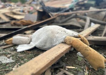 На Житомирщині внаслідок російської атаки загинуло 3 дітей (ФОТО)