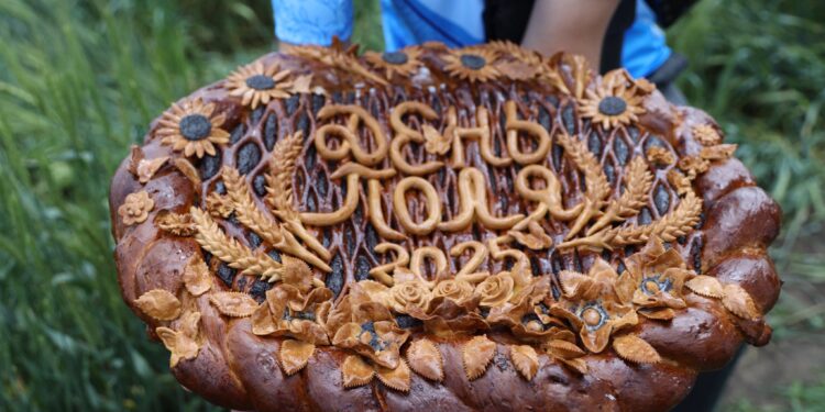 На Миколаївщині відзначили Міжнародний День поля в рамках форуму з продовольчої безпеки (ФОТО)