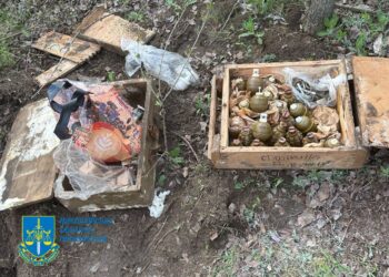 Мешканець Миколаївщини зібрав трофейні боєприпаси на Херсонщині та сховав у лісосмузі (ФОТО)