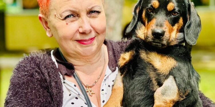 На вчорашній виставці-прилаштуванні у Миколаєві домівки знайшли 13 безпритульних тварин (ФОТО)