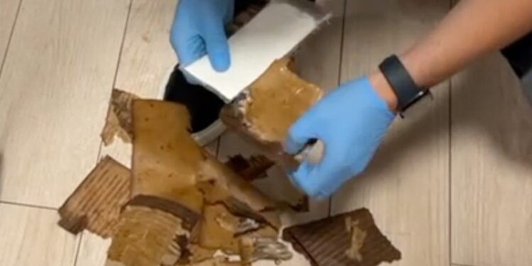 Українець організував хитру контрабанду кокаїну з Гондурасу – на $2 млн. щомісяця (ФОТО, ВІДЕО)