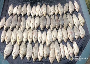 На Миколаївщині затримали рибалок з сітками – ловили рибу попри нерест (ФОТО)